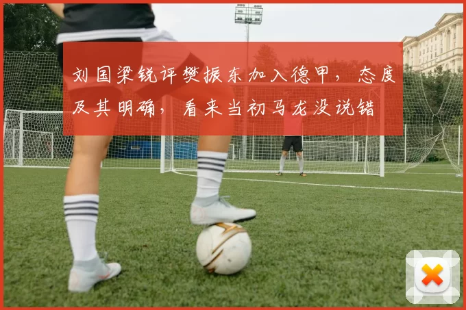 刘国梁锐评樊振东加入德甲，态度及其明确，看来当初马龙没说错